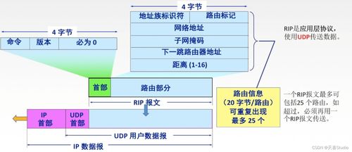學習筆記 第四章 網絡層 七千字詳細配圖